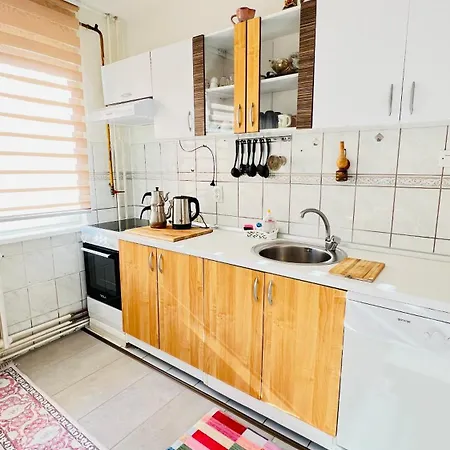 Bosnian House Guest house