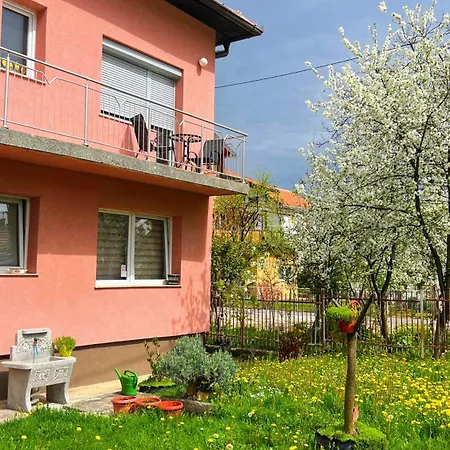 Guest house Bosnian House *