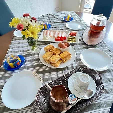 Bosnian House