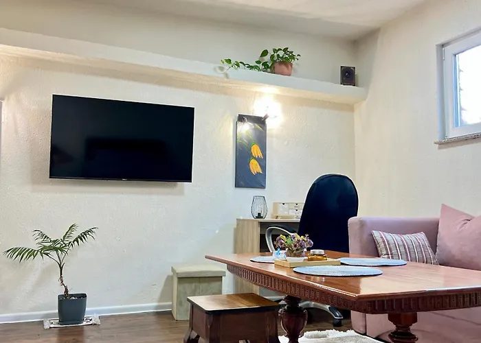 Πανσιόν Bosnian House 4*